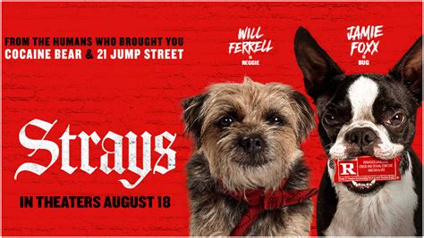The Strays (2023) Review .